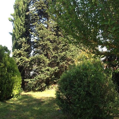 فيلا كاستيجليون فيورنتينوفي Il Belvedere Di Roccavo المظهر الخارجي الصورة
