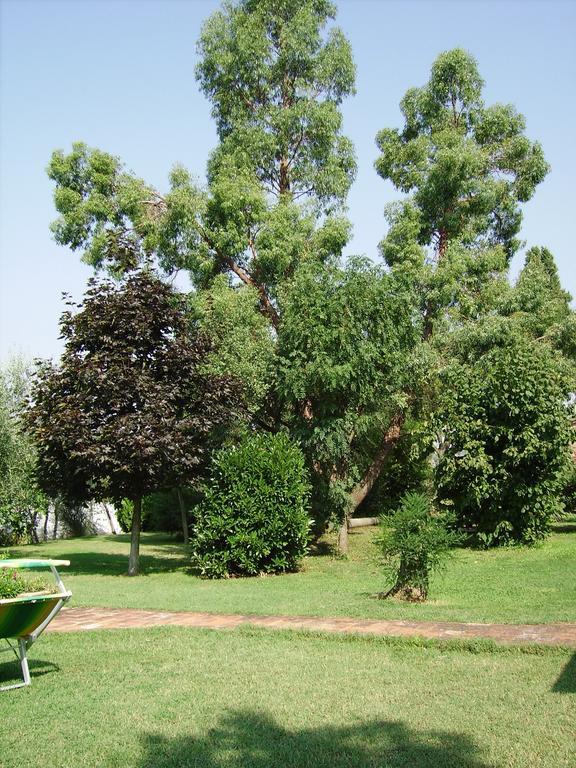 فيلا كاستيجليون فيورنتينوفي Il Belvedere Di Roccavo المظهر الخارجي الصورة